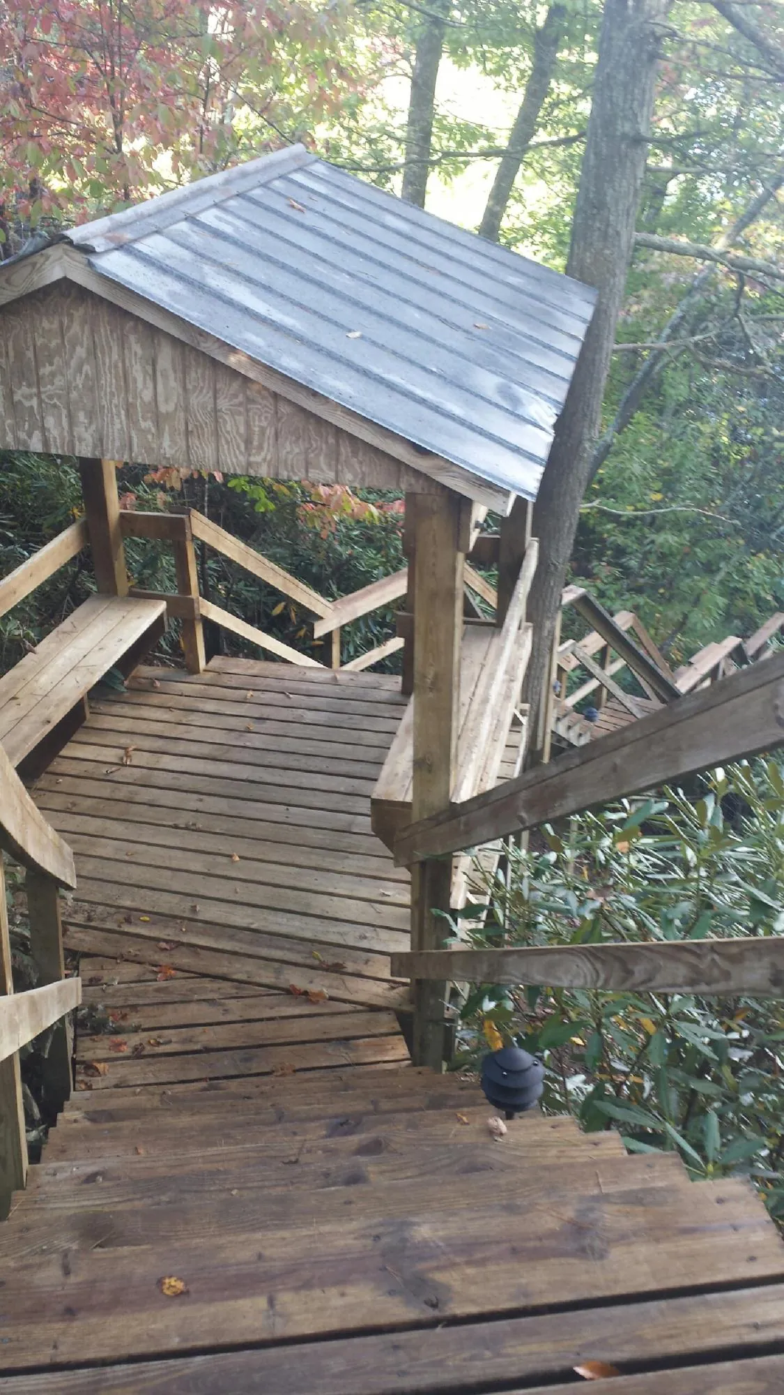 Metal roofed shelter over wooden steps on a wooded walkway — Skylight Repair & Installation work by our crew in Pflugerville